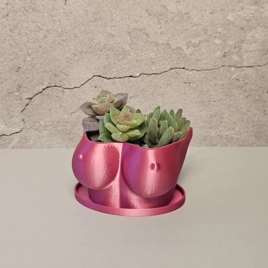 3D Printed Electric Rose Torso Planter: Modern Indoor Sculptural Bust Pot for Live Plants CR3 Design Co