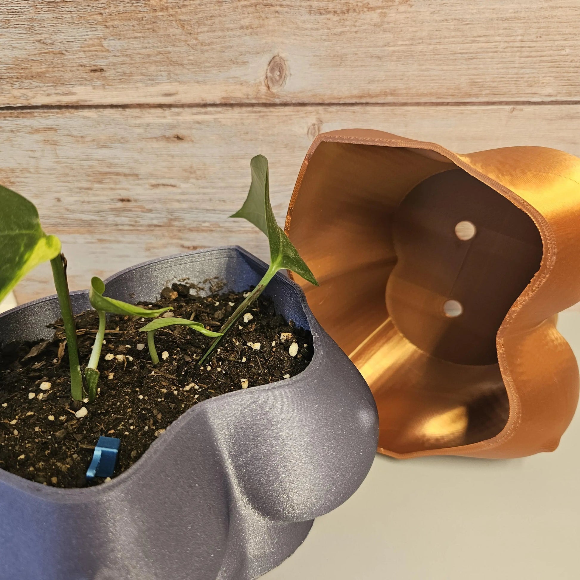 Diamond Lavender Bust Planter: 3D Printed Sculptural Indoor Pot CR3 Design Co