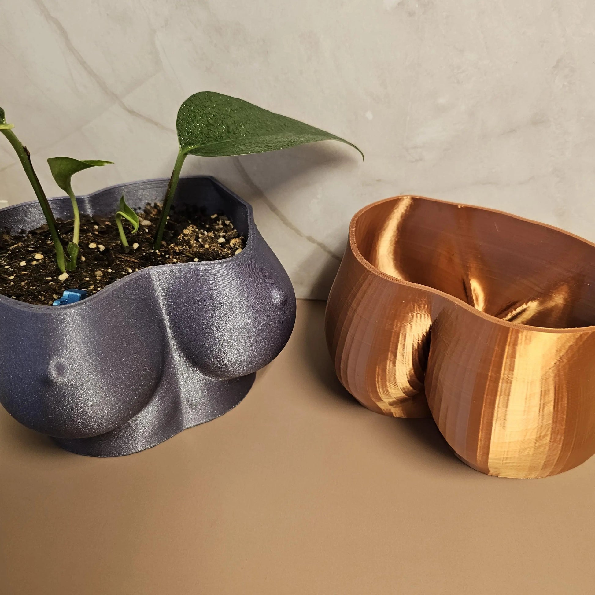 3D Printed Copper Butt Planter: Modern Body Art Vase CR3 Design Co
