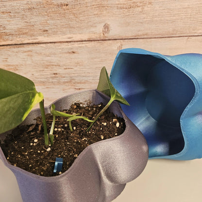 Pearlescent 3D Printed Bust Planter - Aqua Indoor Sculpture Vase for Live or Decorative Plants CR3 Design Co