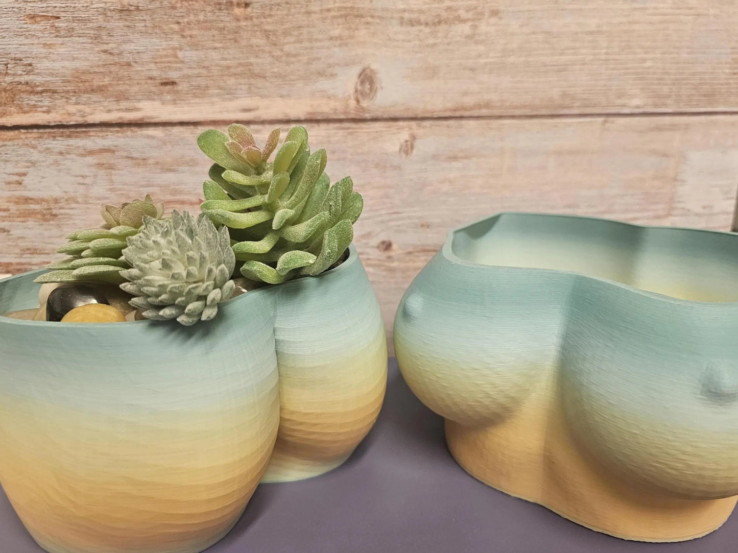 3D Printed Butt Planter: Modern Body Art Vase - Feminine Booty Sculpture for Small Plants CR3 Design Co