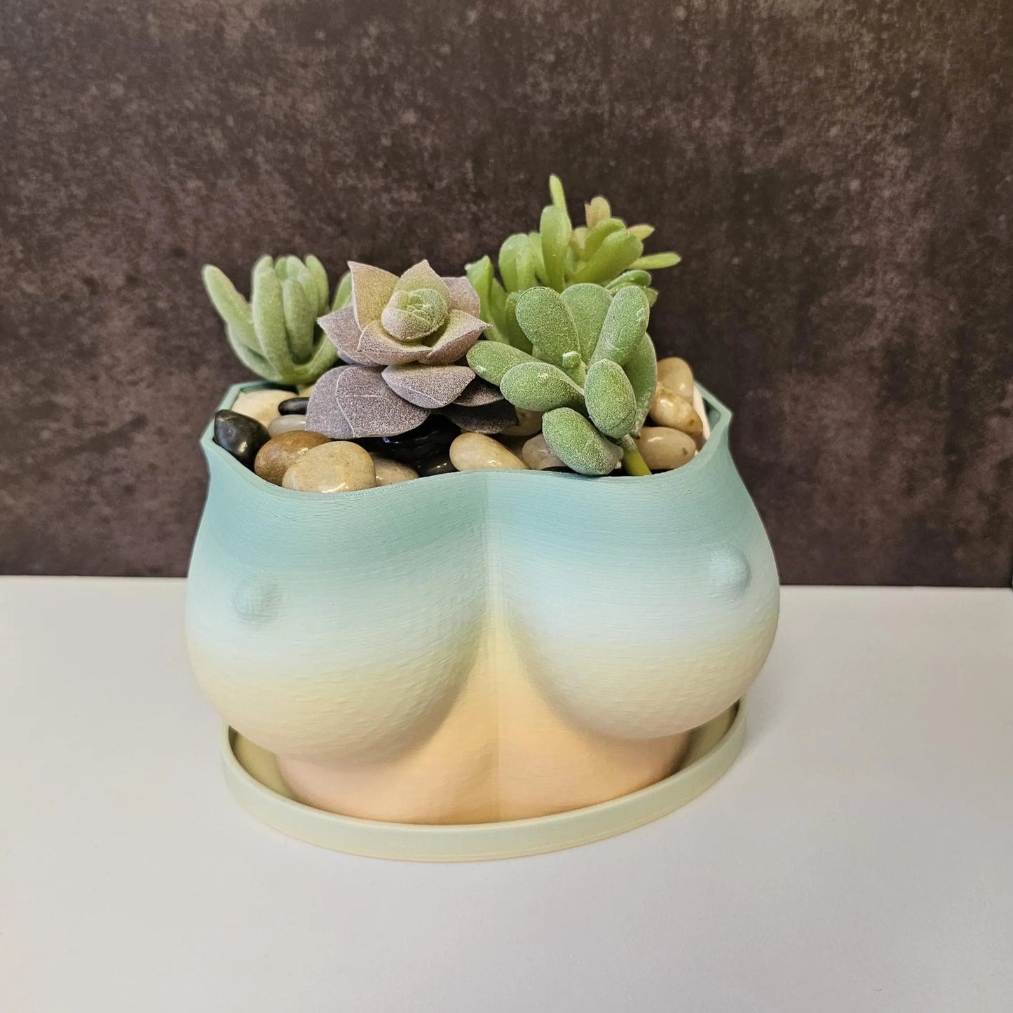 3D Printed Bust Planter: Misty Morning Pastel Vase CR3 Design Co
