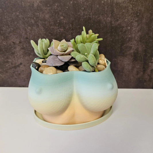 3D Printed Bust Planter: Misty Morning Pastel Vase CR3 Design Co