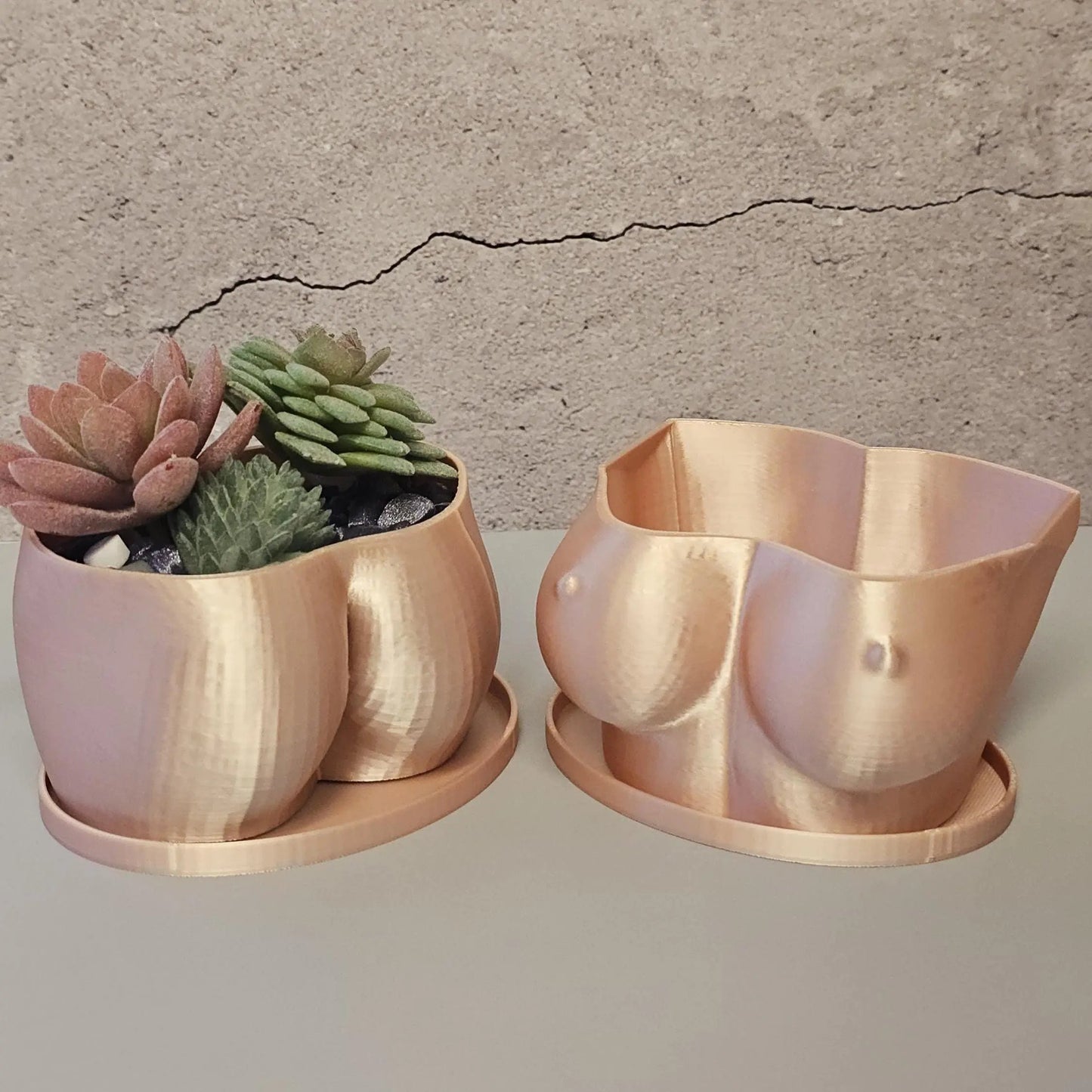 3D Printed Torso Planter: Silk Rose Gold Sculptural Bust Pot CR3 Design Co