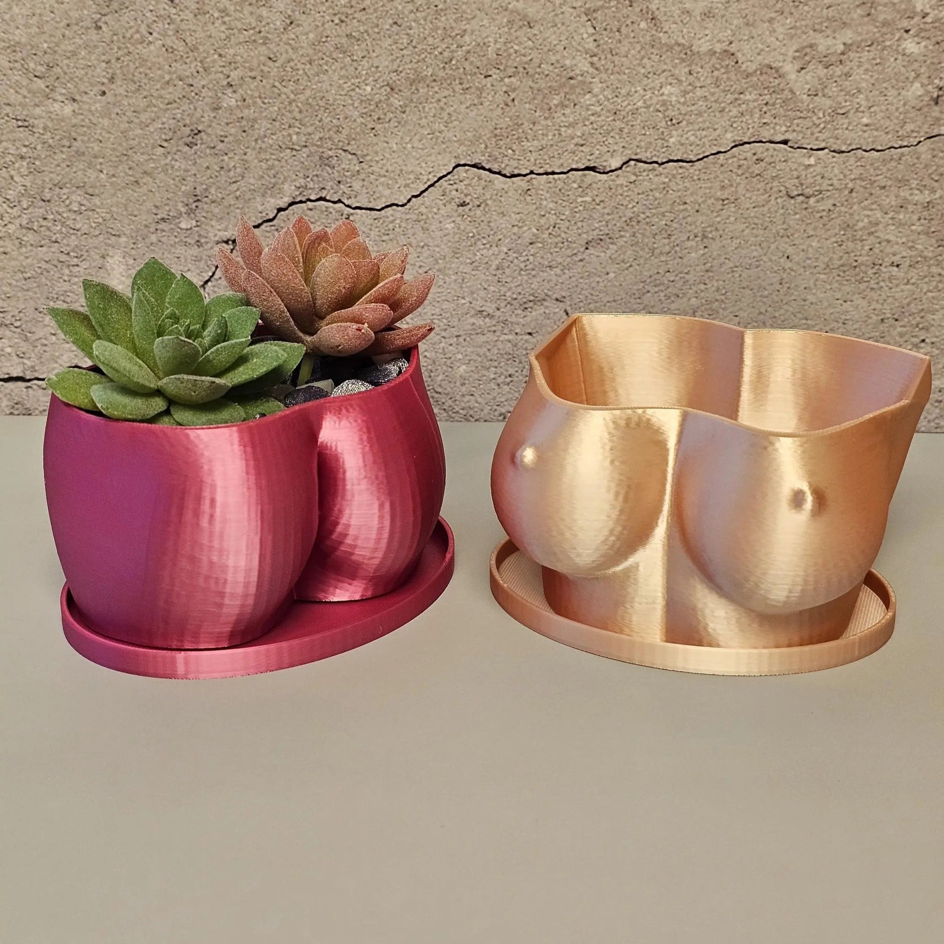 3D Printed Butt Planter: Electric Rose Body Art Vase CR3 Design Co