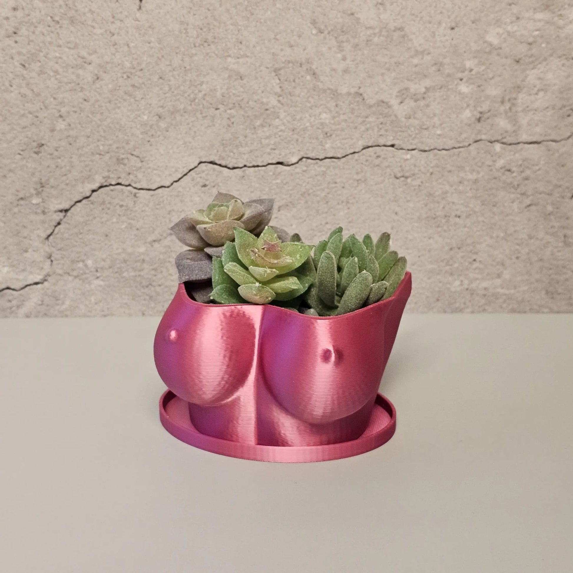 3D Printed Electric Rose Torso Planter: Modern Indoor Sculptural Bust Pot for Live Plants CR3 Design Co