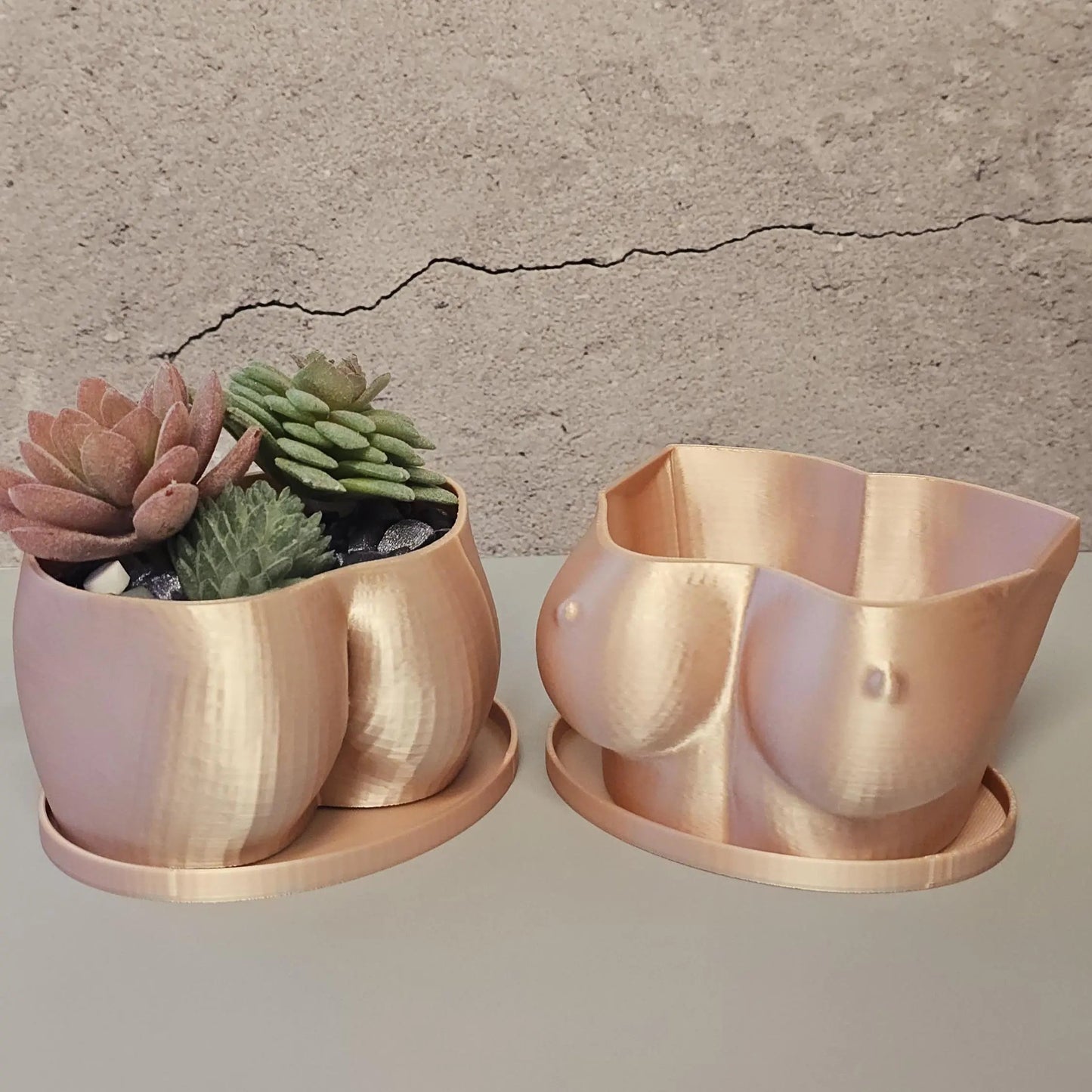 3D Printed Silk Rose Gold Butt Planter: Modern Body Art Vase CR3 Design Co