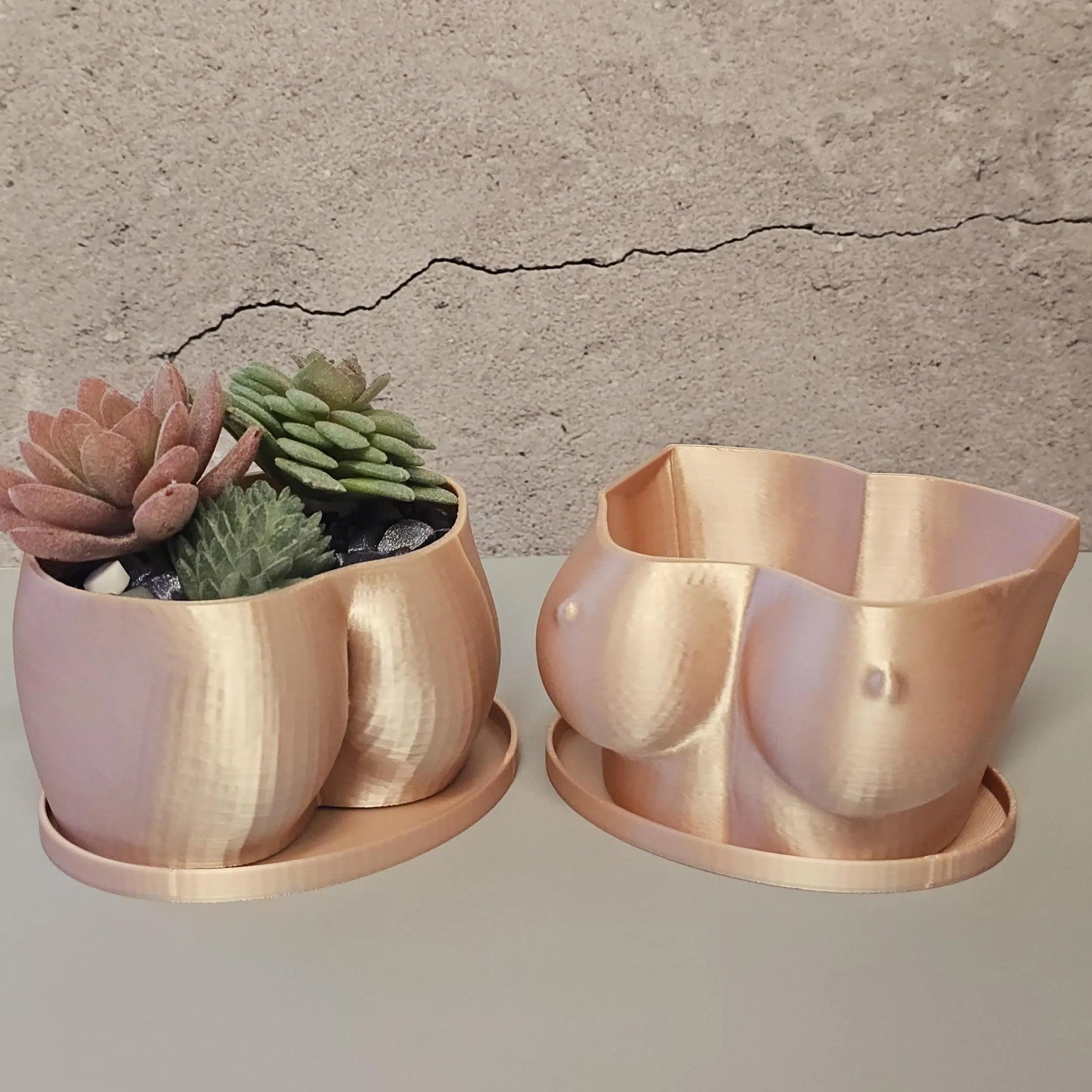 3D Printed Silk Rose Gold Butt Planter: Modern Body Art Vase CR3 Design Co