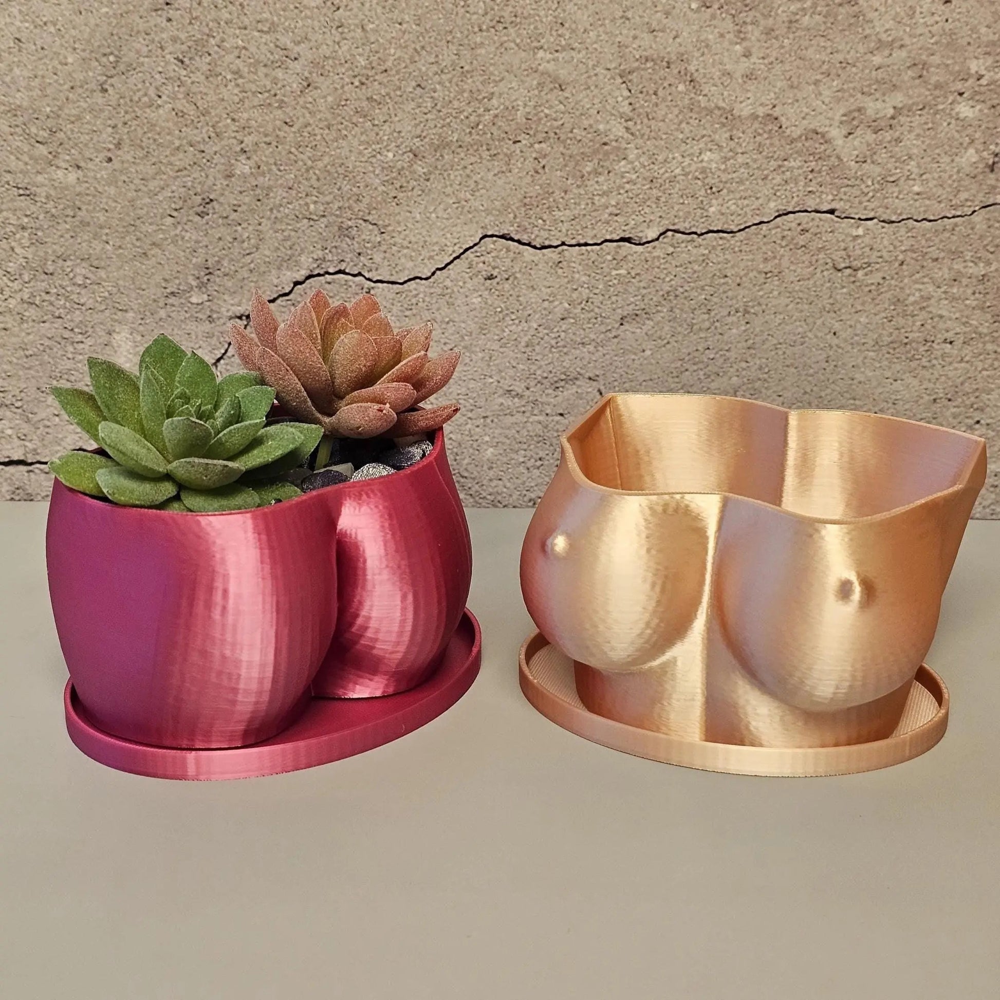3D Printed Torso Planter: Silk Rose Gold Sculptural Bust Pot CR3 Design Co