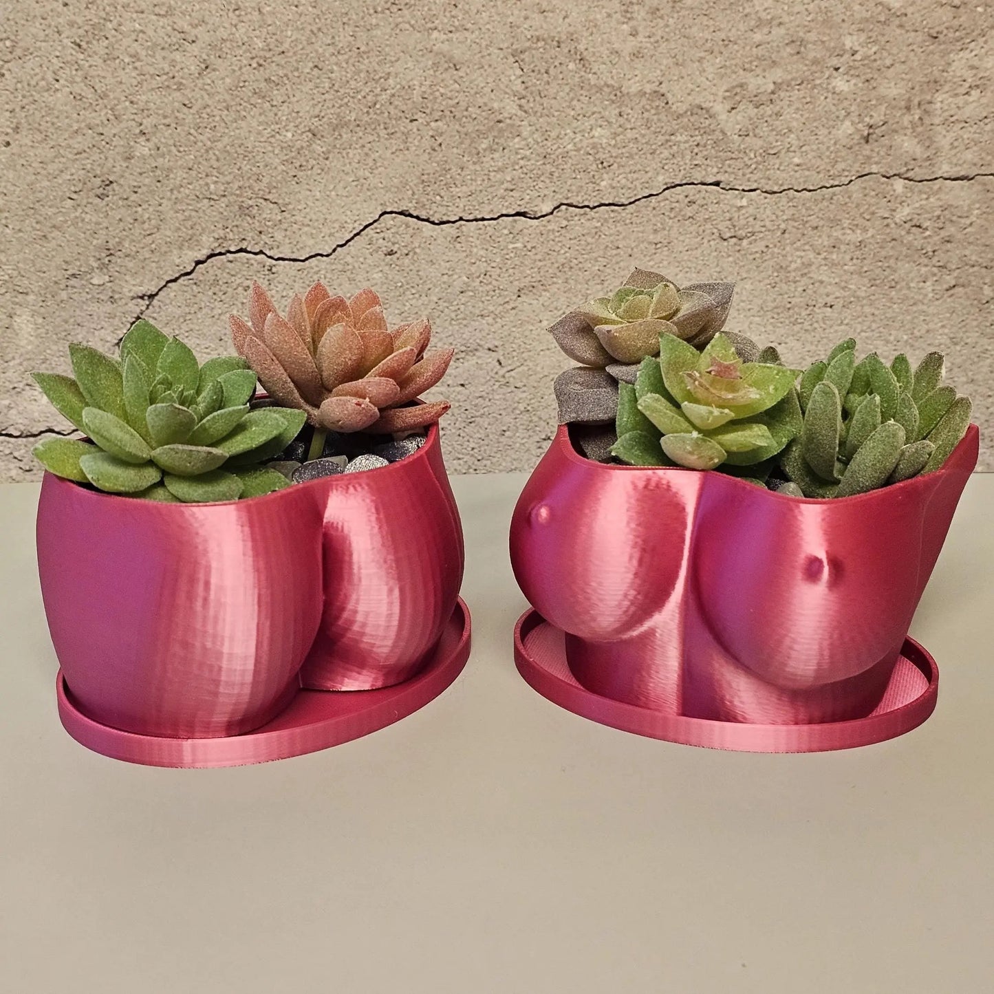3D Printed Butt Planter: Electric Rose Body Art Vase CR3 Design Co
