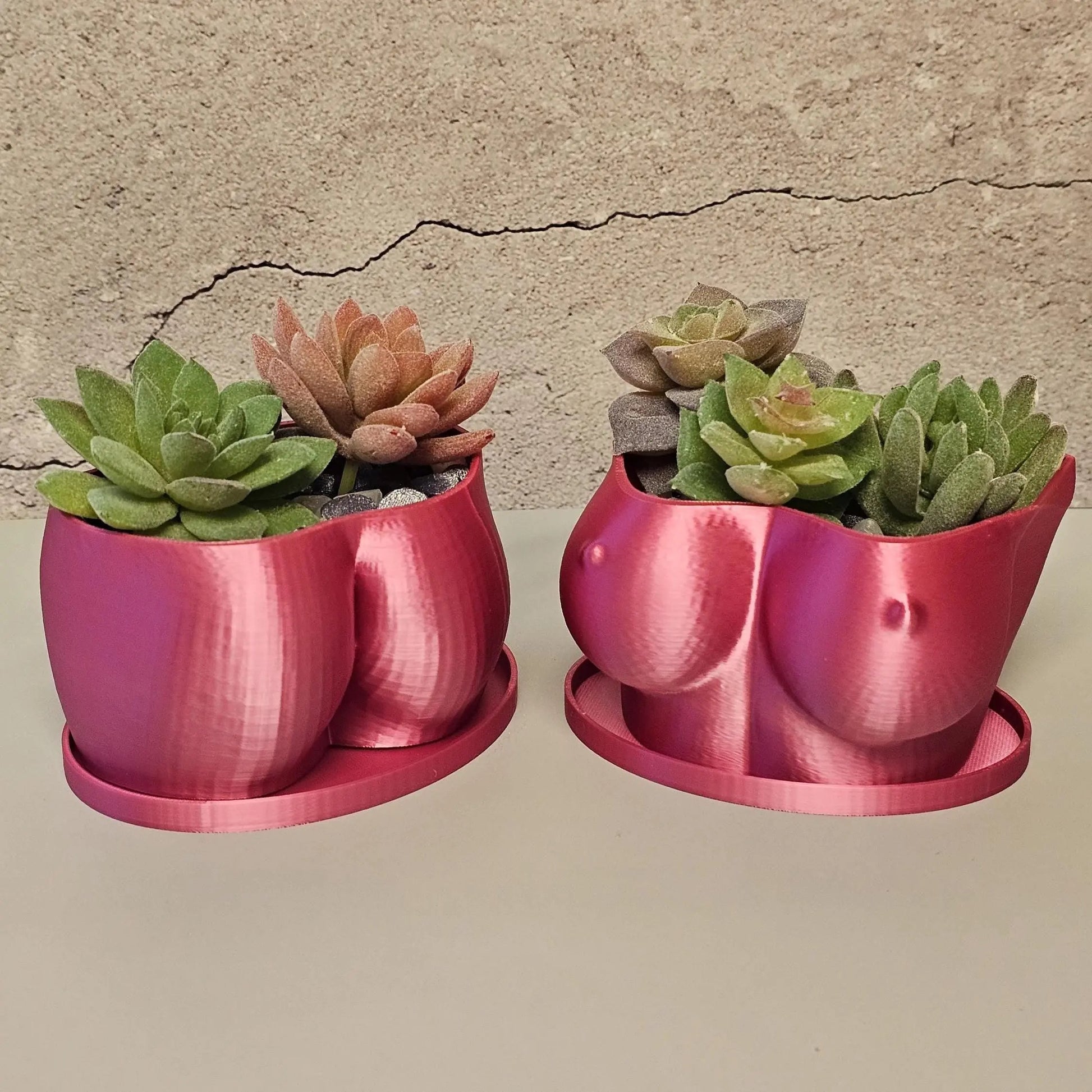 3D Printed Electric Rose Torso Planter: Modern Indoor Sculptural Bust Pot for Live Plants CR3 Design Co