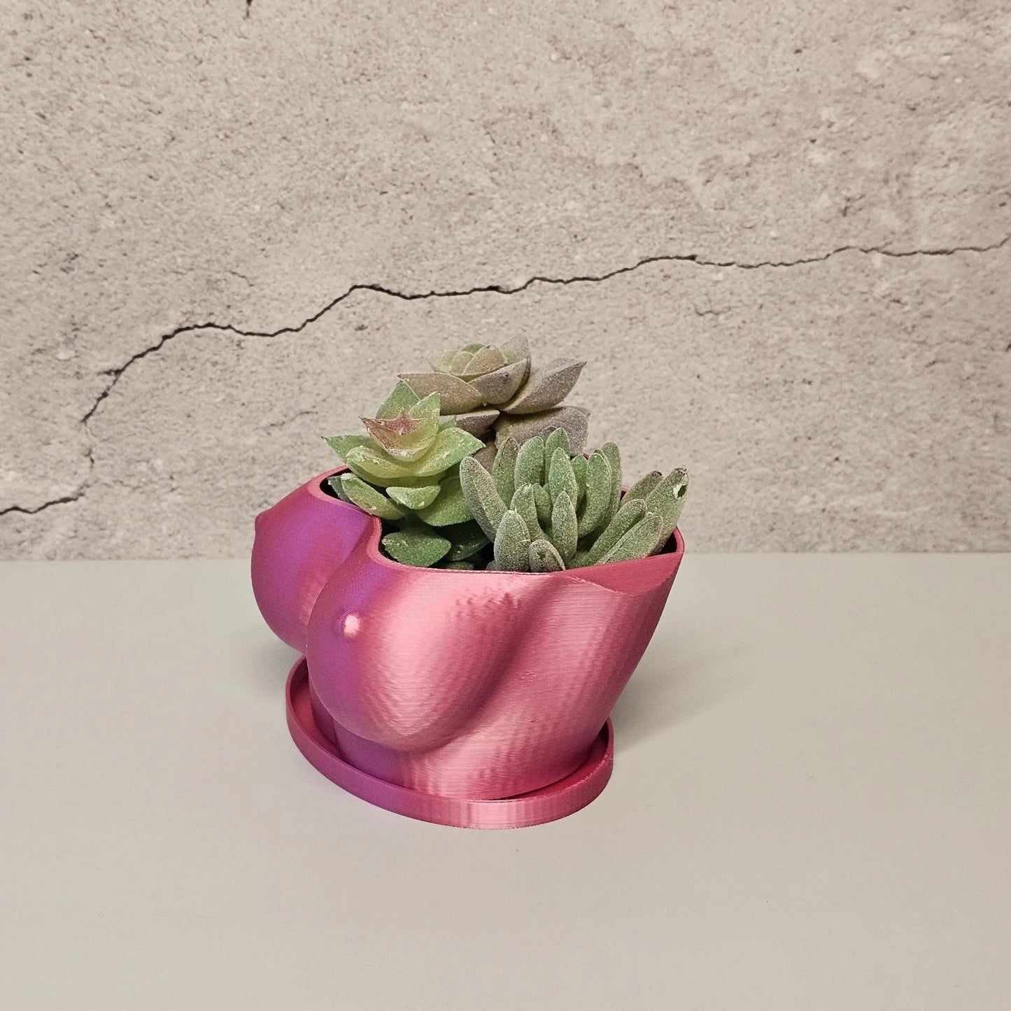 3D Printed Electric Rose Torso Planter: Modern Indoor Sculptural Bust Pot for Live Plants CR3 Design Co