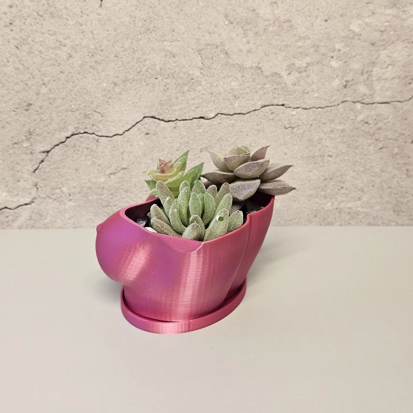3D Printed Electric Rose Torso Planter: Modern Indoor Sculptural Bust Pot for Live Plants CR3 Design Co