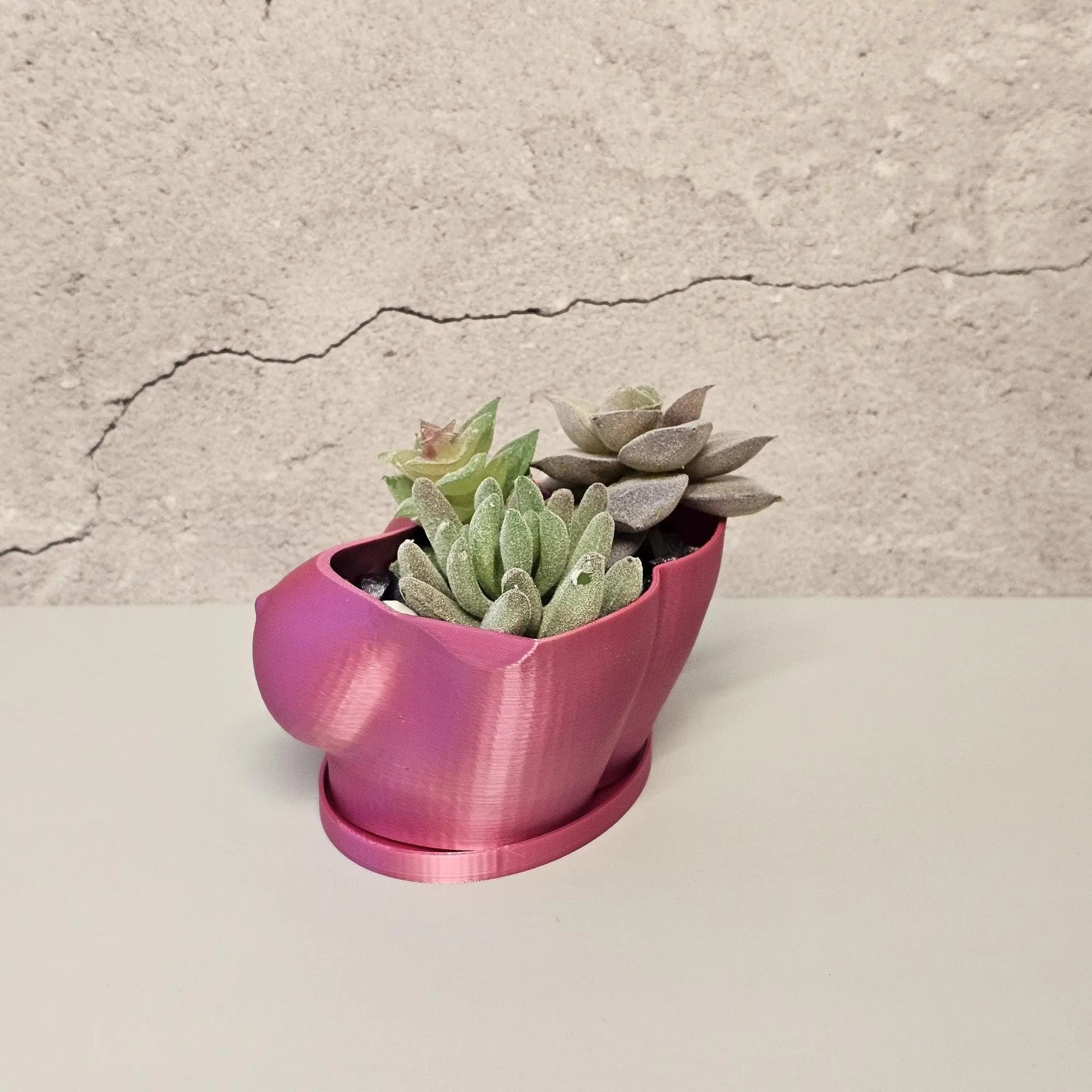 3D Printed Electric Rose Torso Planter: Modern Indoor Sculptural Bust Pot for Live Plants CR3 Design Co