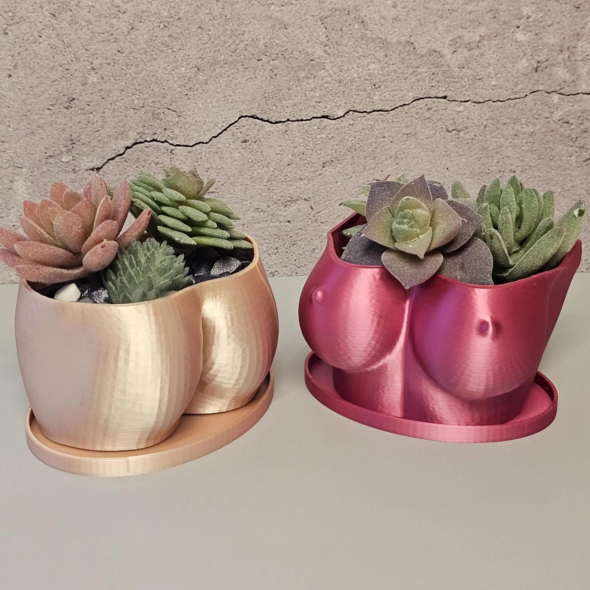 3D Printed Electric Rose Torso Planter: Modern Indoor Sculptural Bust Pot for Live Plants CR3 Design Co