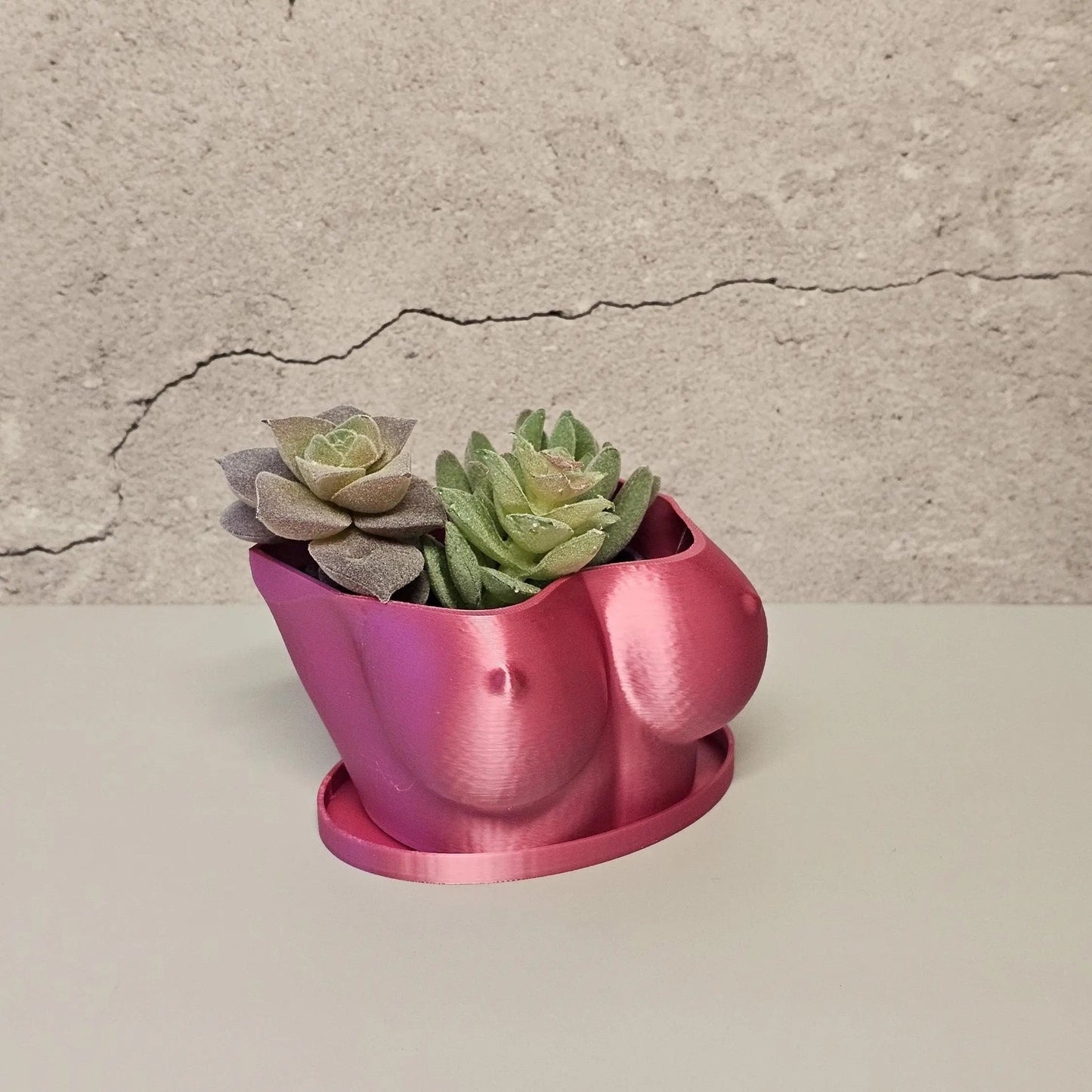 3D Printed Electric Rose Torso Planter: Modern Indoor Sculptural Bust Pot for Live Plants CR3 Design Co