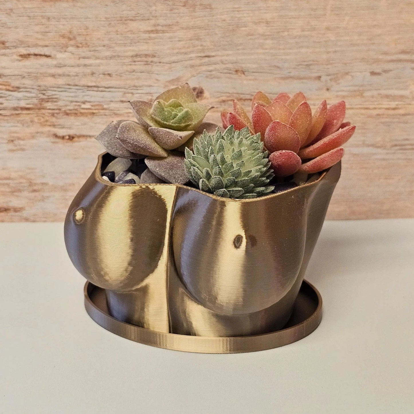 3D Printed Bust Planter: Antique Gold Sculptural Indoor Po for Live or Decorative Plants CR3 Design Co