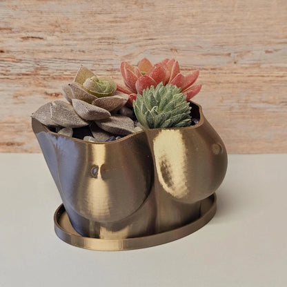 3D Printed Bust Planter: Antique Gold Sculptural Indoor Po for Live or Decorative Plants CR3 Design Co