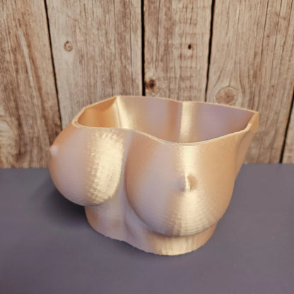 3D Printed Torso Planter: Silk Rose Gold Sculptural Bust Pot CR3 Design Co
