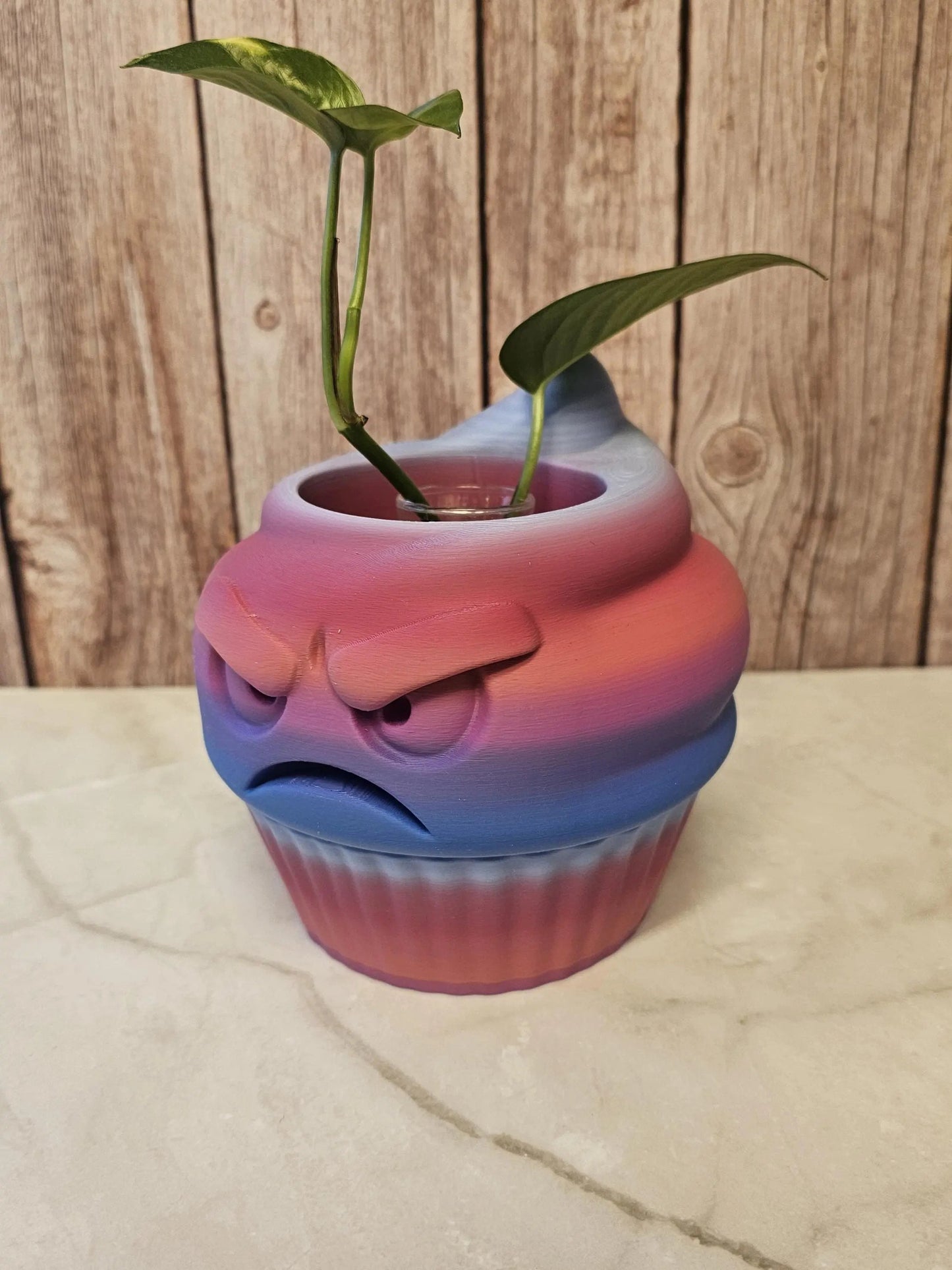 Quirky 3D Printed Cupcake Planter: Grumpy Dessert Pot for Succulents & Unique Shelf Decor CR3 Design Co