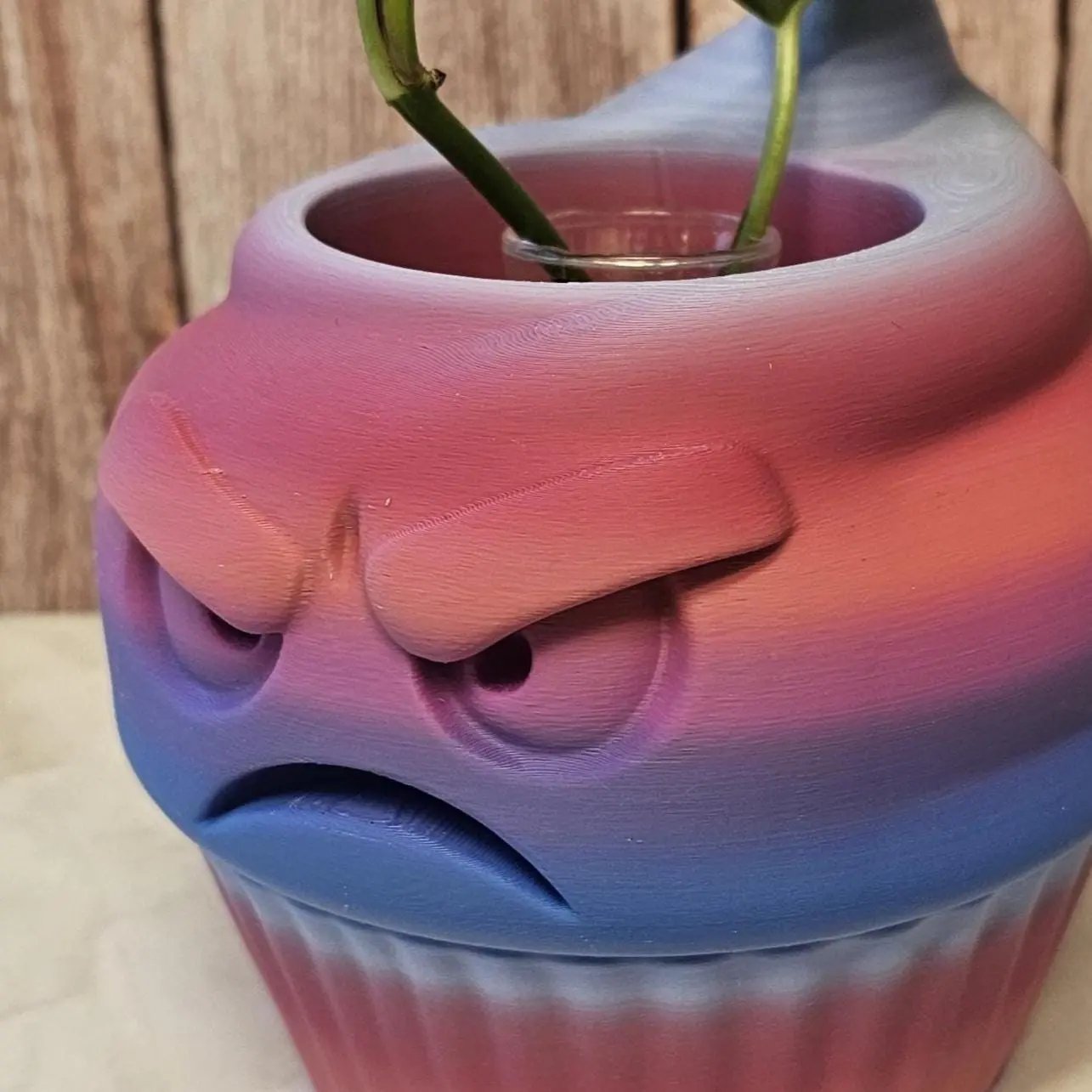 Quirky 3D Printed Cupcake Planter: Grumpy Dessert Pot for Succulents & Unique Shelf Decor CR3 Design Co