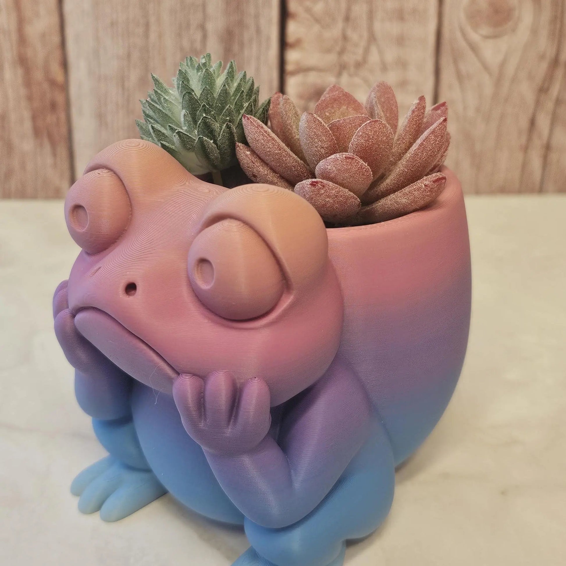 3D Printed Frog Planter: Pastel Gradient PLA Succulent Pot CR3 Design Co