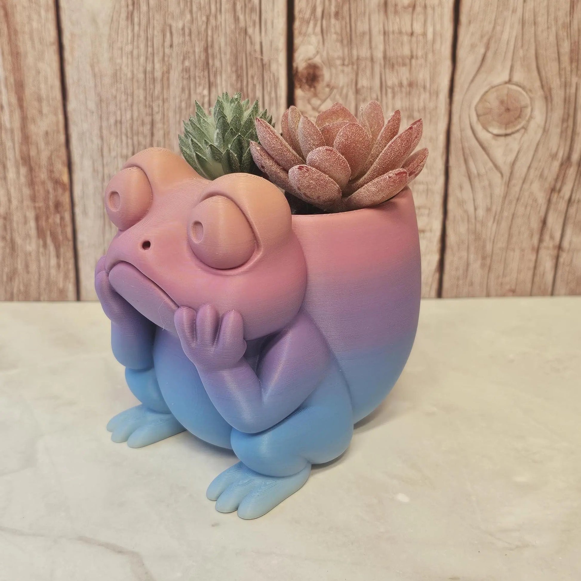 3D Printed Frog Planter: Pastel Gradient PLA Succulent Pot CR3 Design Co
