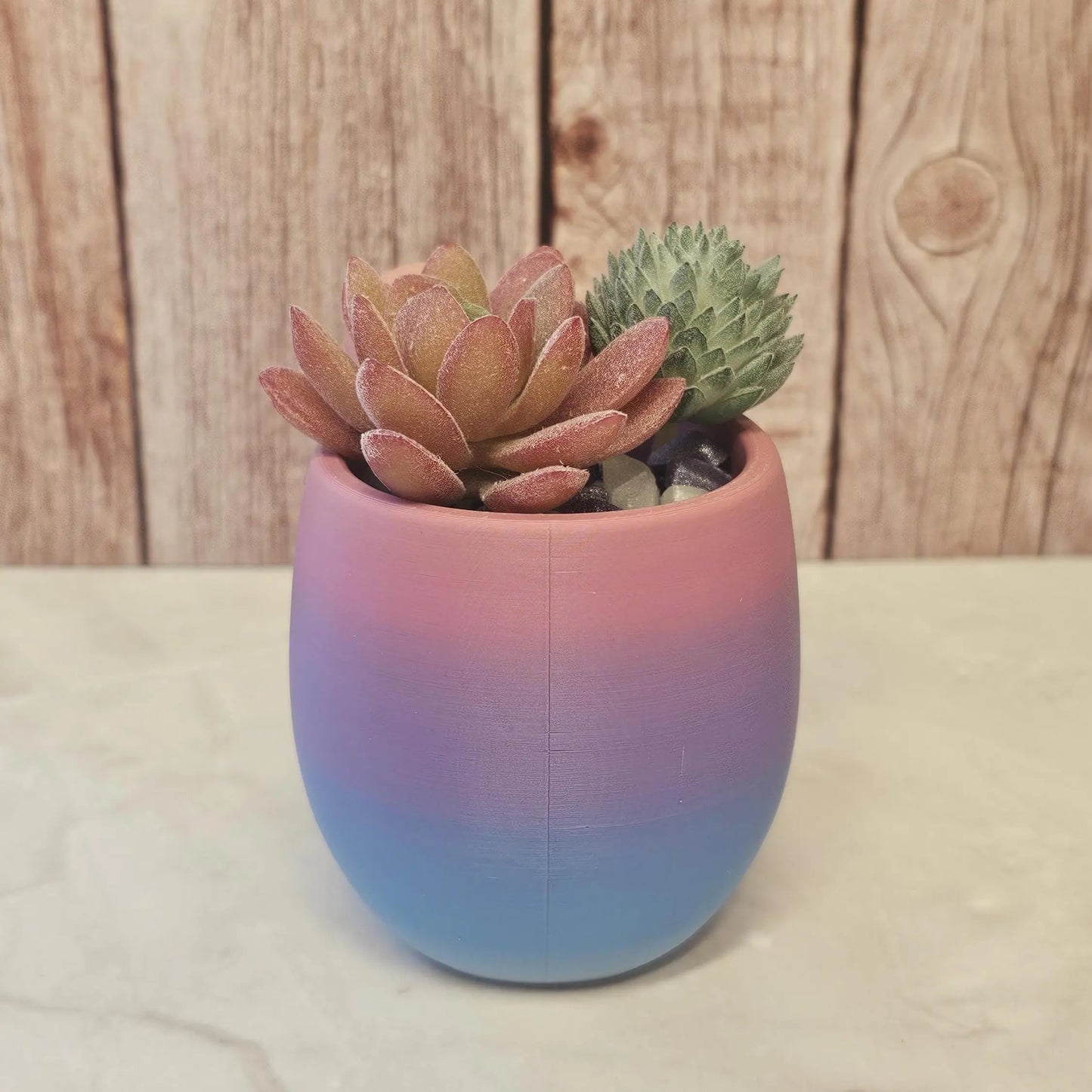3D Printed Frog Planter: Pastel Gradient PLA Succulent Pot CR3 Design Co