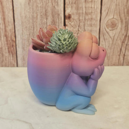 3D Printed Frog Planter: Pastel Gradient PLA Succulent Pot CR3 Design Co