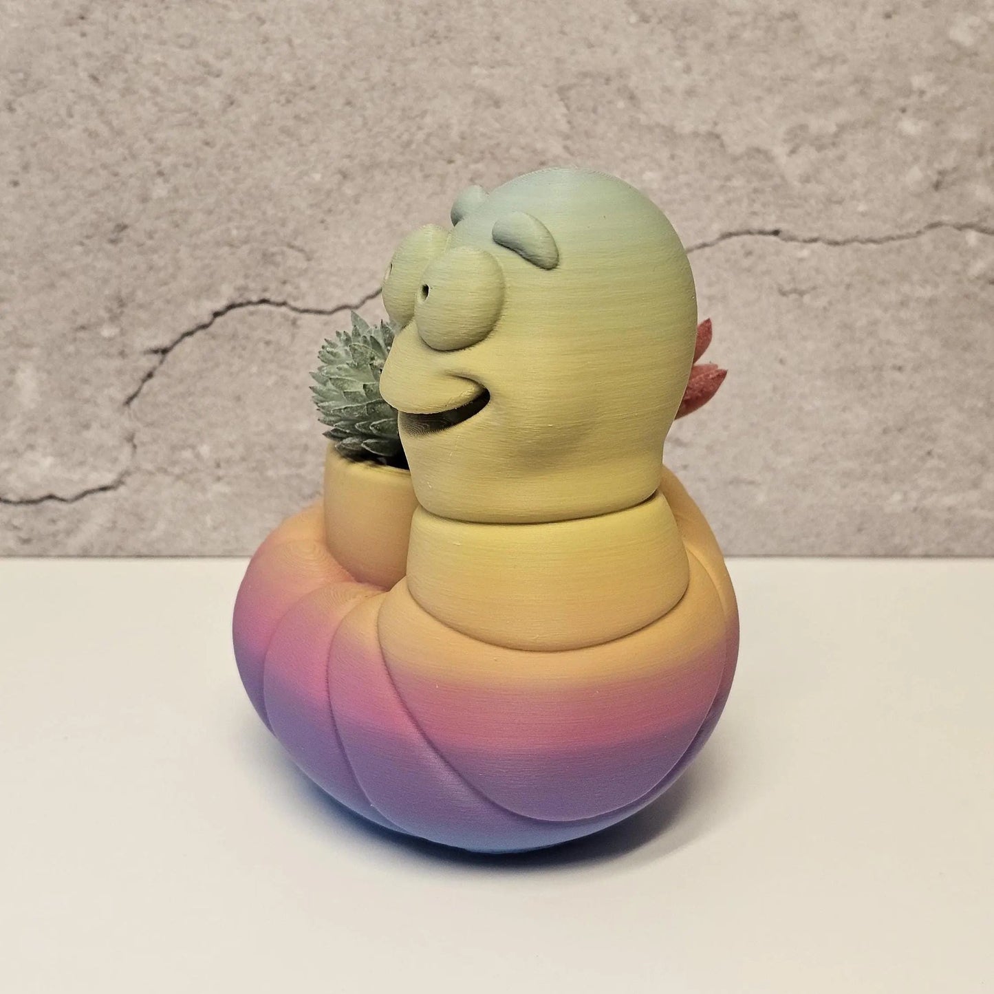 Vibrant 3D Printed Worm Planter: Unique Gradient Container for Succulents and Indoor Greenery CR3 Design Co