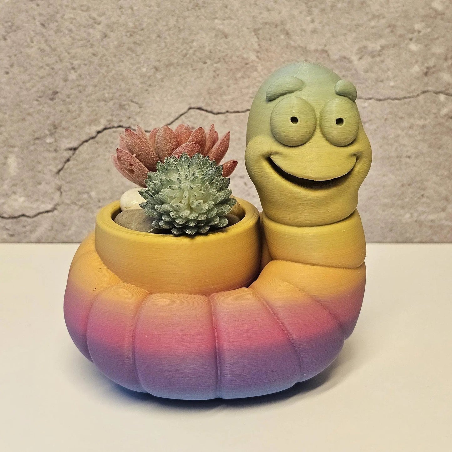 Vibrant 3D Printed Worm Planter: Unique Gradient Container for Succulents and Indoor Greenery CR3 Design Co