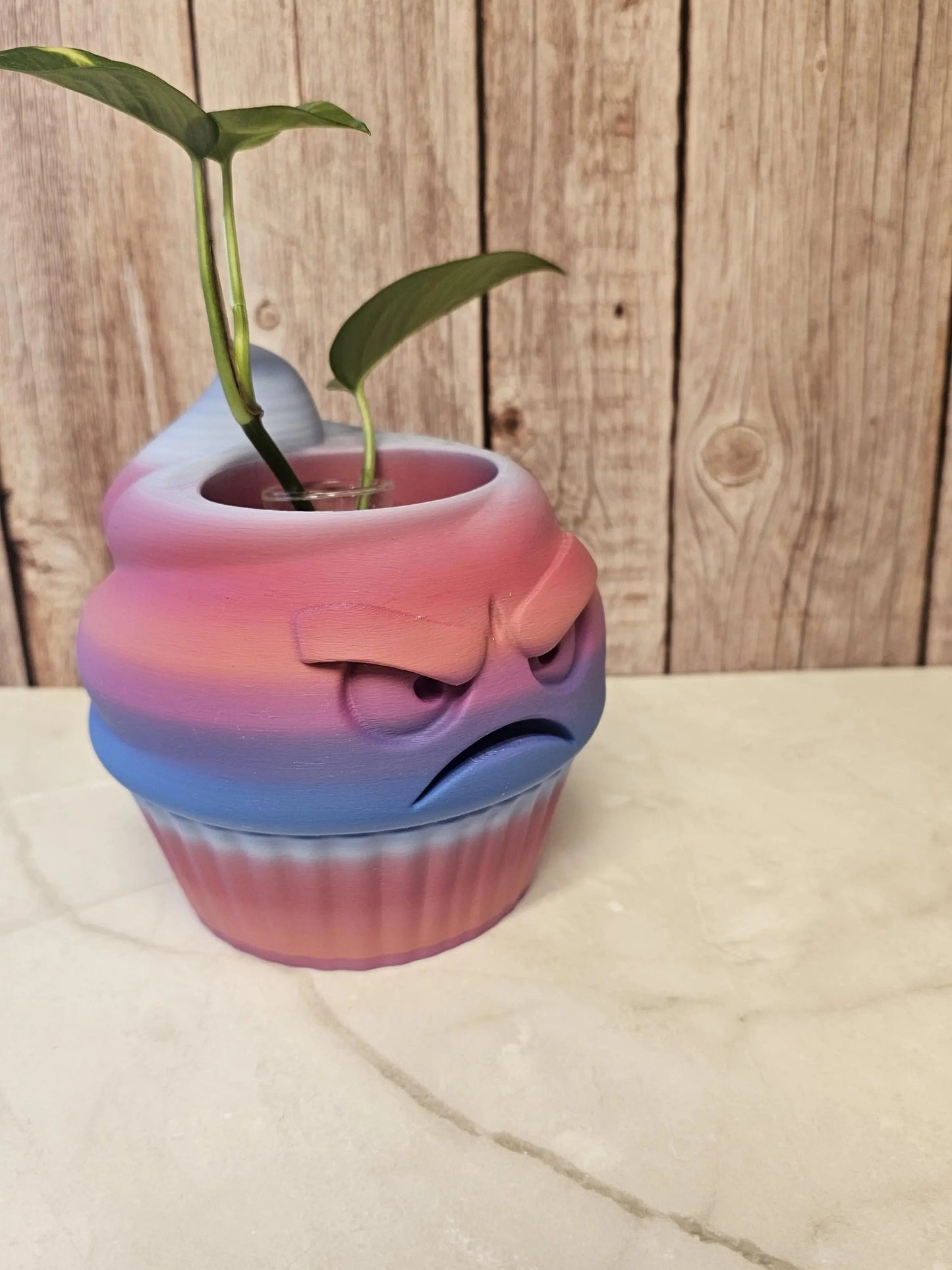 Quirky 3D Printed Cupcake Planter: Grumpy Dessert Pot for Succulents & Unique Shelf Decor CR3 Design Co
