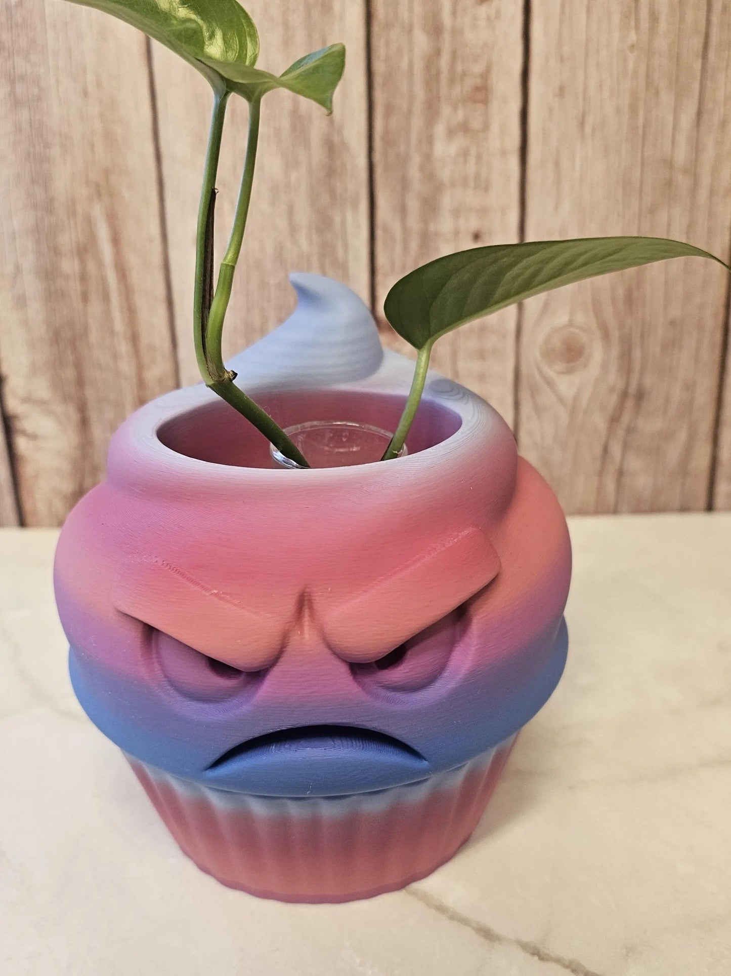 Quirky 3D Printed Cupcake Planter: Grumpy Dessert Pot for Succulents & Unique Shelf Decor CR3 Design Co