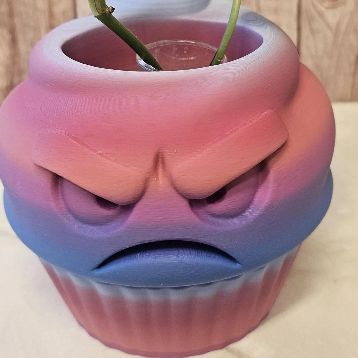 Quirky 3D Printed Cupcake Planter: Grumpy Dessert Pot for Succulents & Unique Shelf Decor CR3 Design Co