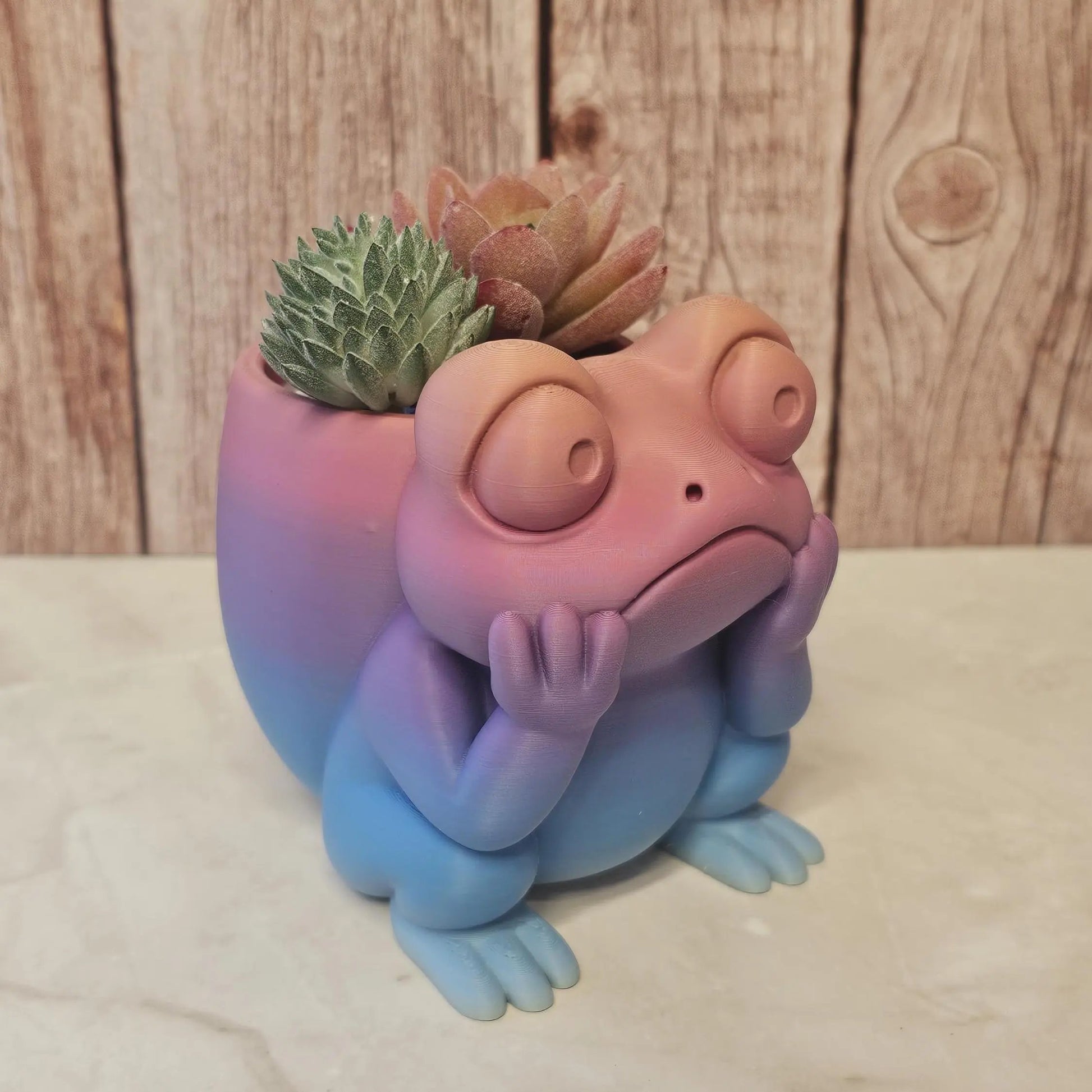 3D Printed Frog Planter: Pastel Gradient PLA Succulent Pot CR3 Design Co