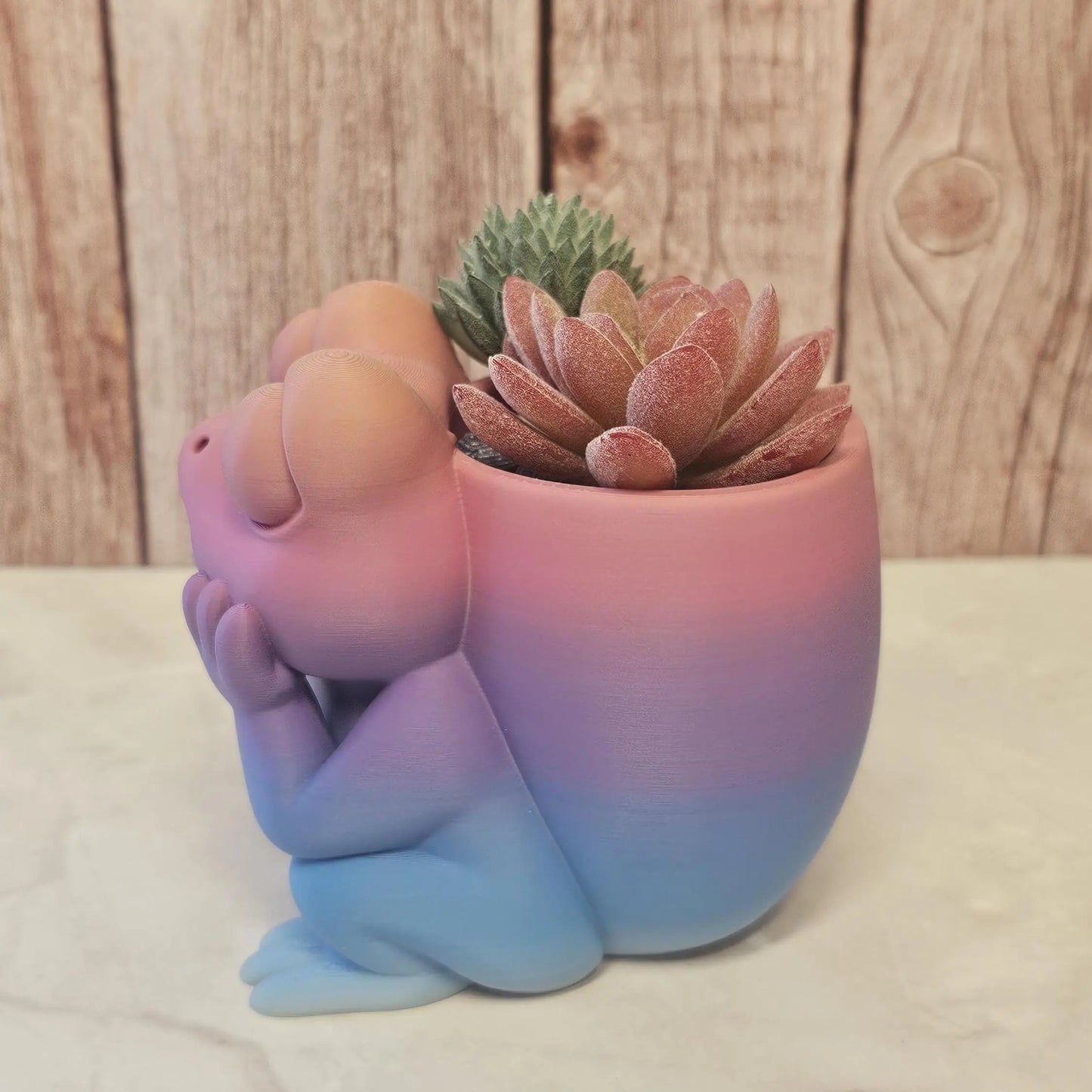 3D Printed Frog Planter: Pastel Gradient PLA Succulent Pot CR3 Design Co