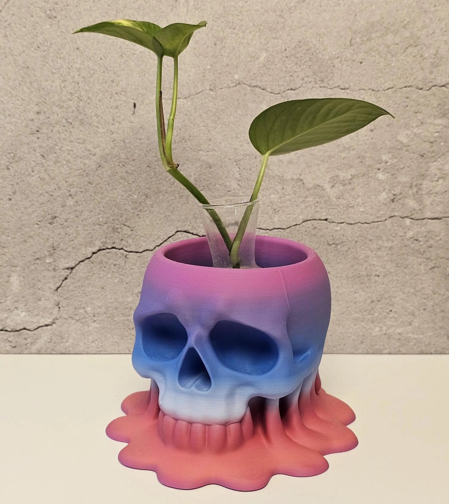 Melting Skull Planter: 3D Printed Pastel Pot for Succulents, Gothic Home Decor, Halloween Centerpiece CR3 Design Co