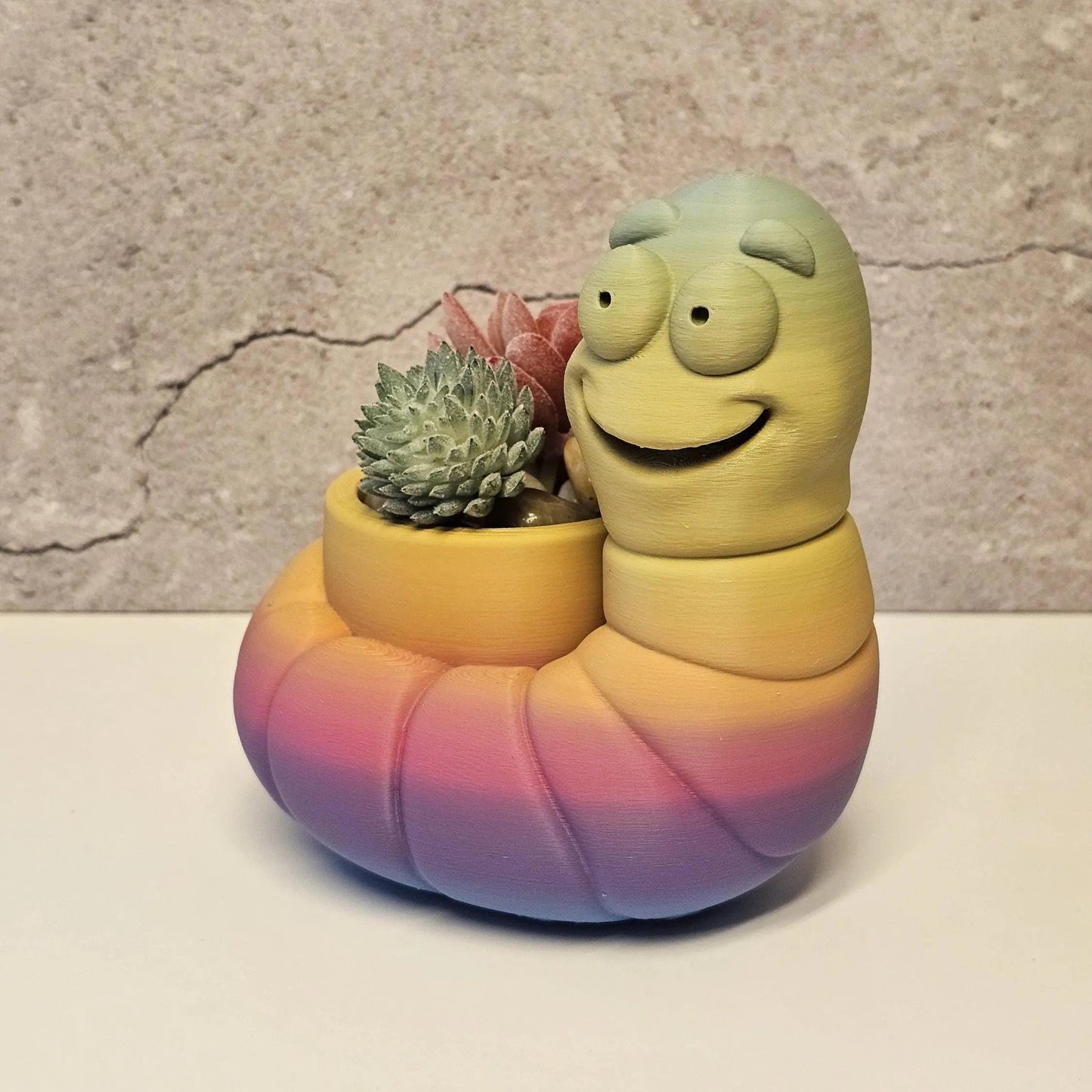 Vibrant 3D Printed Worm Planter: Unique Gradient Container for Succulents and Indoor Greenery CR3 Design Co