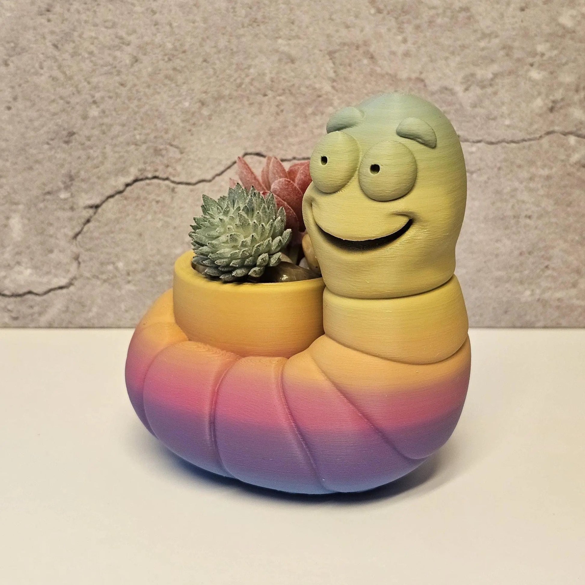 Vibrant 3D Printed Worm Planter: Unique Gradient Container for Succulents and Indoor Greenery CR3 Design Co