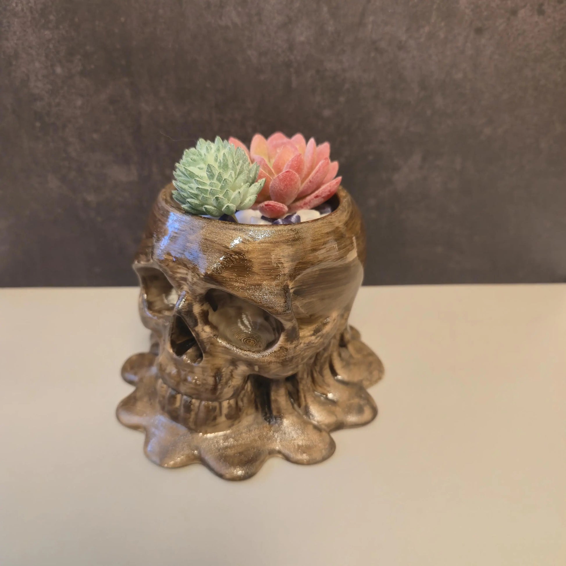 DIY Melting Skull Planter Kit: 3D Printed Wood Craft, Paint & Stain CR3 Design Co