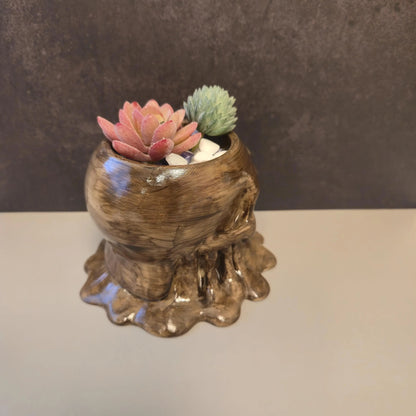 DIY Melting Skull Planter Kit: 3D Printed Wood Craft, Paint & Stain CR3 Design Co